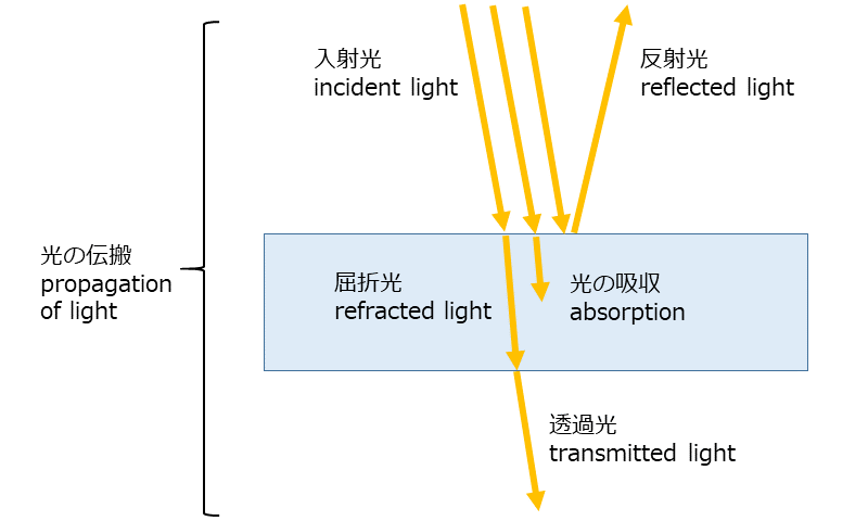 光の反射,屈折,透過,吸収の英語表現